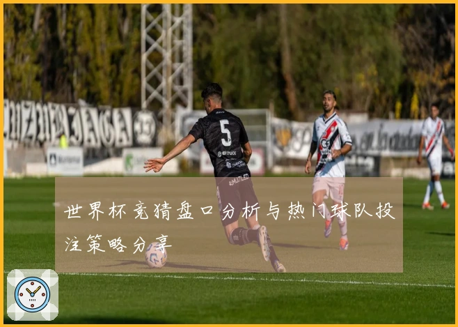 世界杯竞猜盘口分析与热门球队投注策略分享