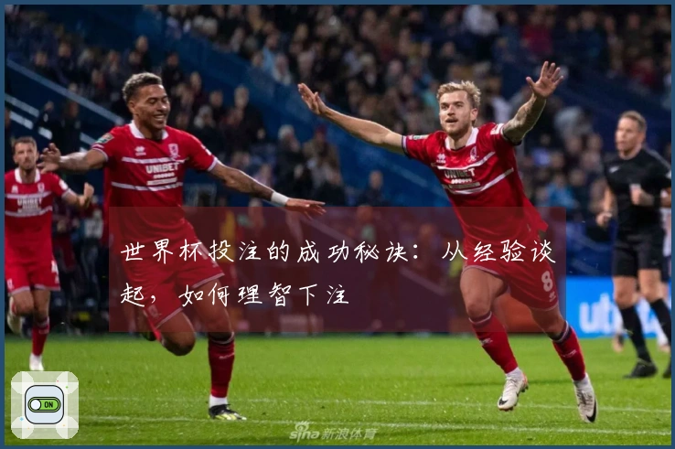 世界杯投注的成功秘诀：从经验谈起，如何理智下注