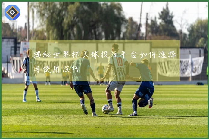 揭秘世界杯买球投注平台如何选择与使用技巧