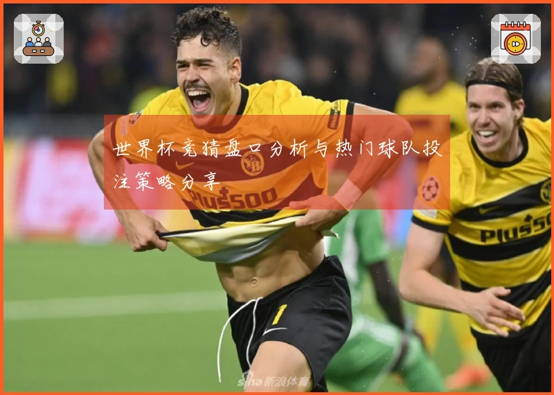 世界杯竞猜盘口分析与热门球队投注策略分享