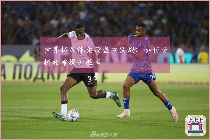 世界杯买球竞猜盘口实战：如何分析赔率提升胜率