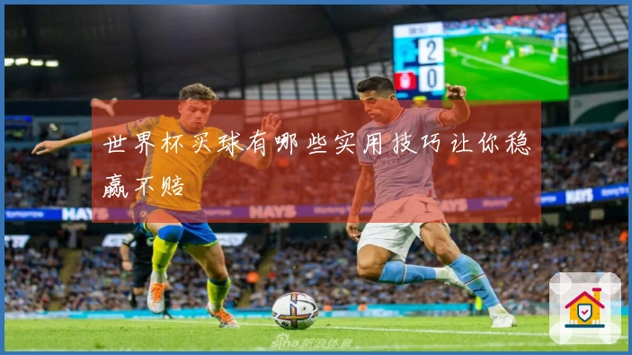世界杯买球有哪些实用技巧让你稳赢不赔
