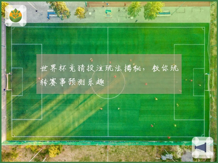 世界杯竞猜投注玩法揭秘，教你玩转赛事预测乐趣