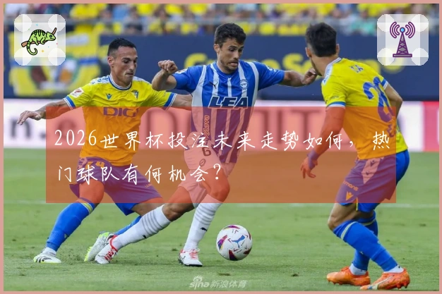 2026世界杯投注未来走势如何，热门球队有何机会？