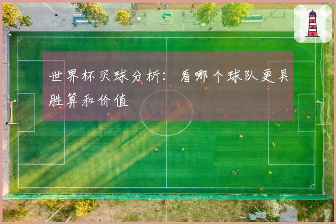 世界杯买球分析：看哪个球队更具胜算和价值