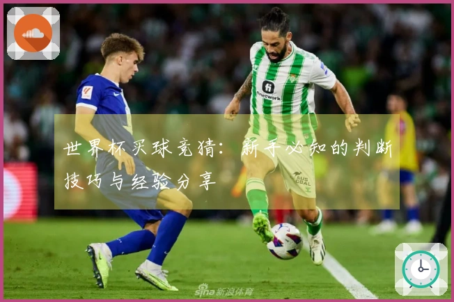 世界杯买球竞猜：新手必知的判断技巧与经验分享