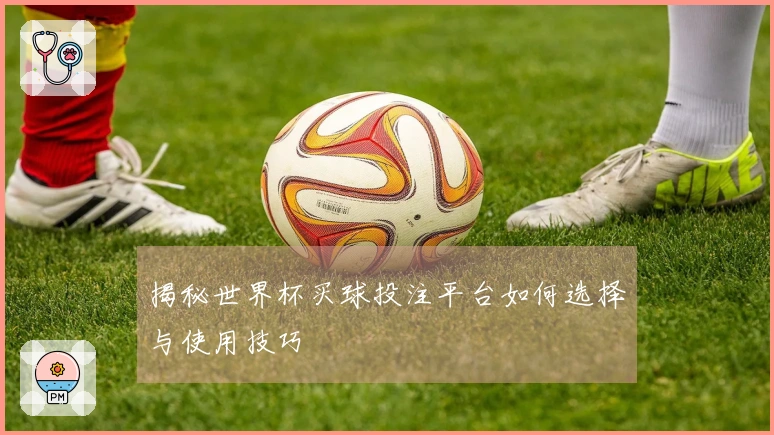 揭秘世界杯买球投注平台如何选择与使用技巧